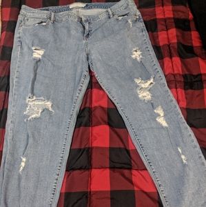 Torrid Jeans